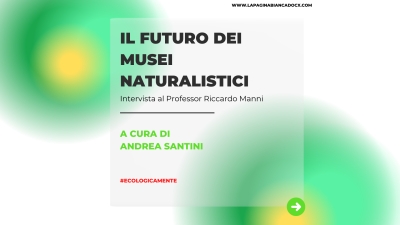 Il futuro dei musei naturalistici: intervista al Professor Riccardo Manni